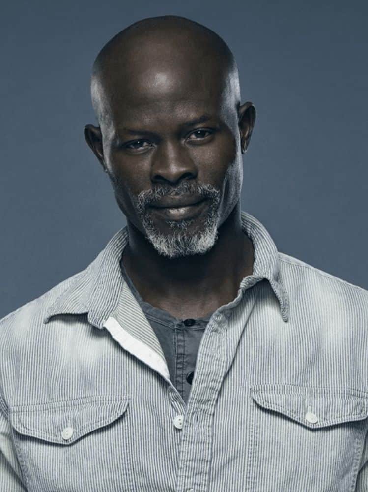 Djimon Hounsou