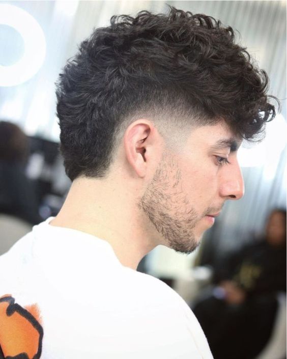 Low Taper with Curly Top