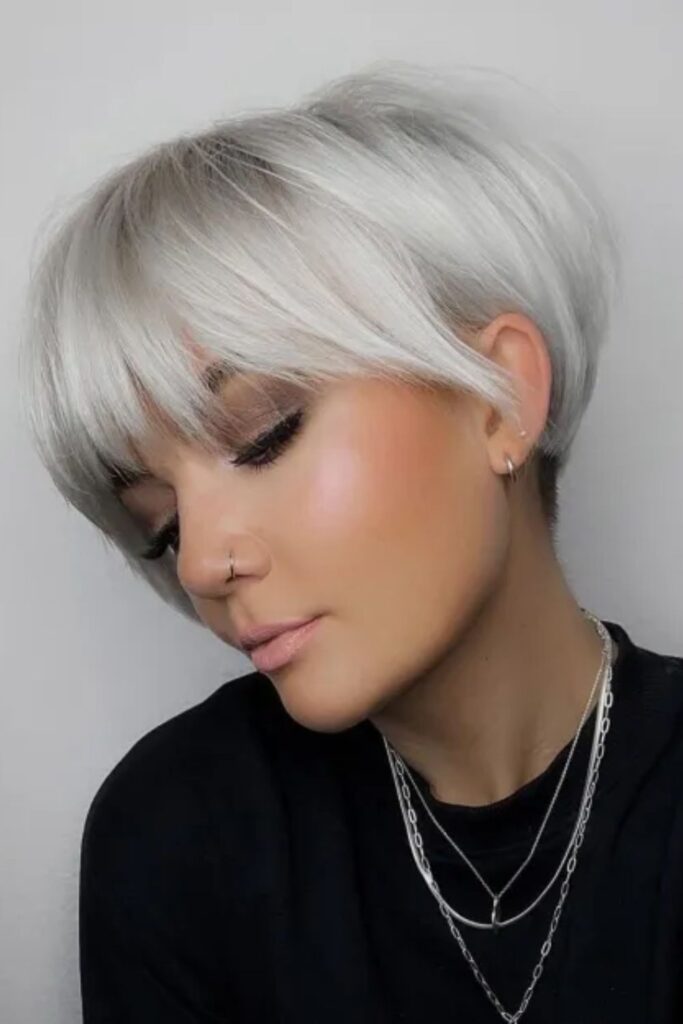 Sleek Silver Blonde Pixie Bob