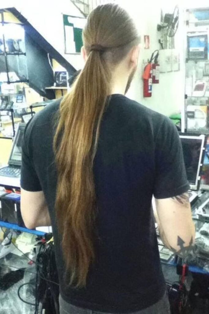 The Long Ponytail