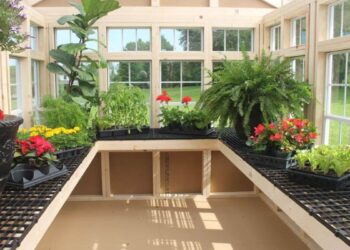 The Ultimate Guide to Choosing a Greenhouse Kit